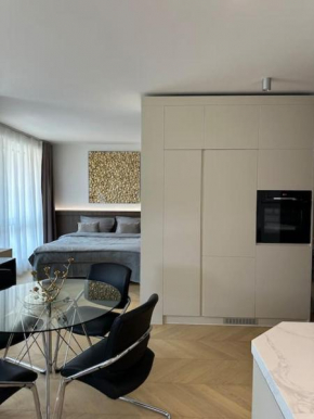Luxe apartment near the airport